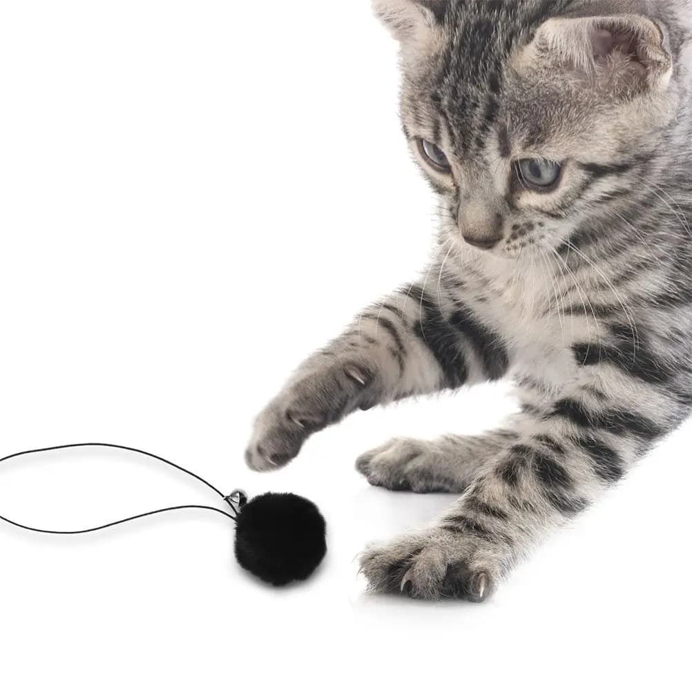 Set di 6 Palline Interattive con Campanello per Tiragraffi e Alberi per Gatti - Palline di Ricambio Stimolanti per la Caccia