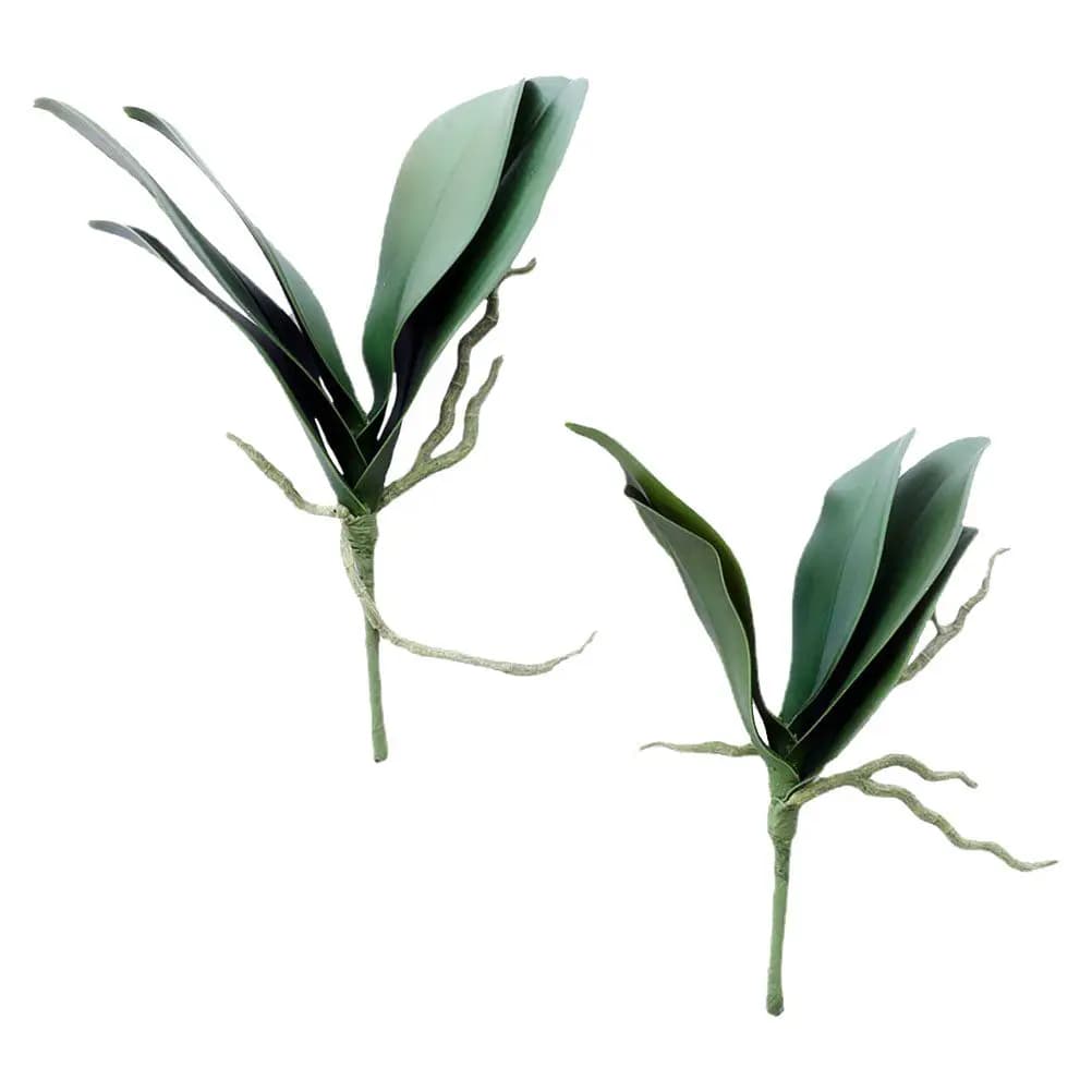 2Pcs Simulated Phalaenopsis Leaves Premium Material Home Decor Artificial Green Decorative Plant Leaves Fake with Root Hair