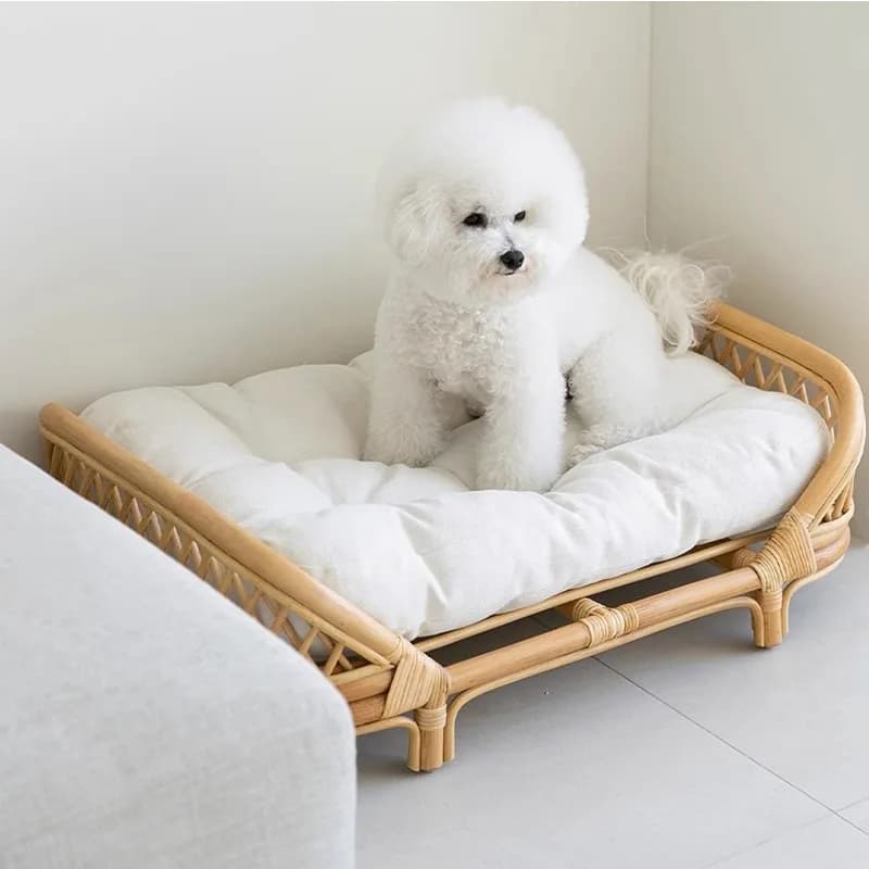 Cuccia per cani in rattan, cuccia in vimini per cani di piccola e media taglia, universale per tutte le stagioni (inverno ed estate), nido per gatti in rattan intrecciato, per animali domestici