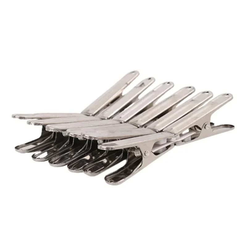 10 Pezzi Mollette in Metallo Multiuso in Acciaio Inossidabile, Clip per Bucato, Mollette per Biancheria Intima, Clip per Stendibiancheria, Clip per Sacchetti Alimentari da Cucina