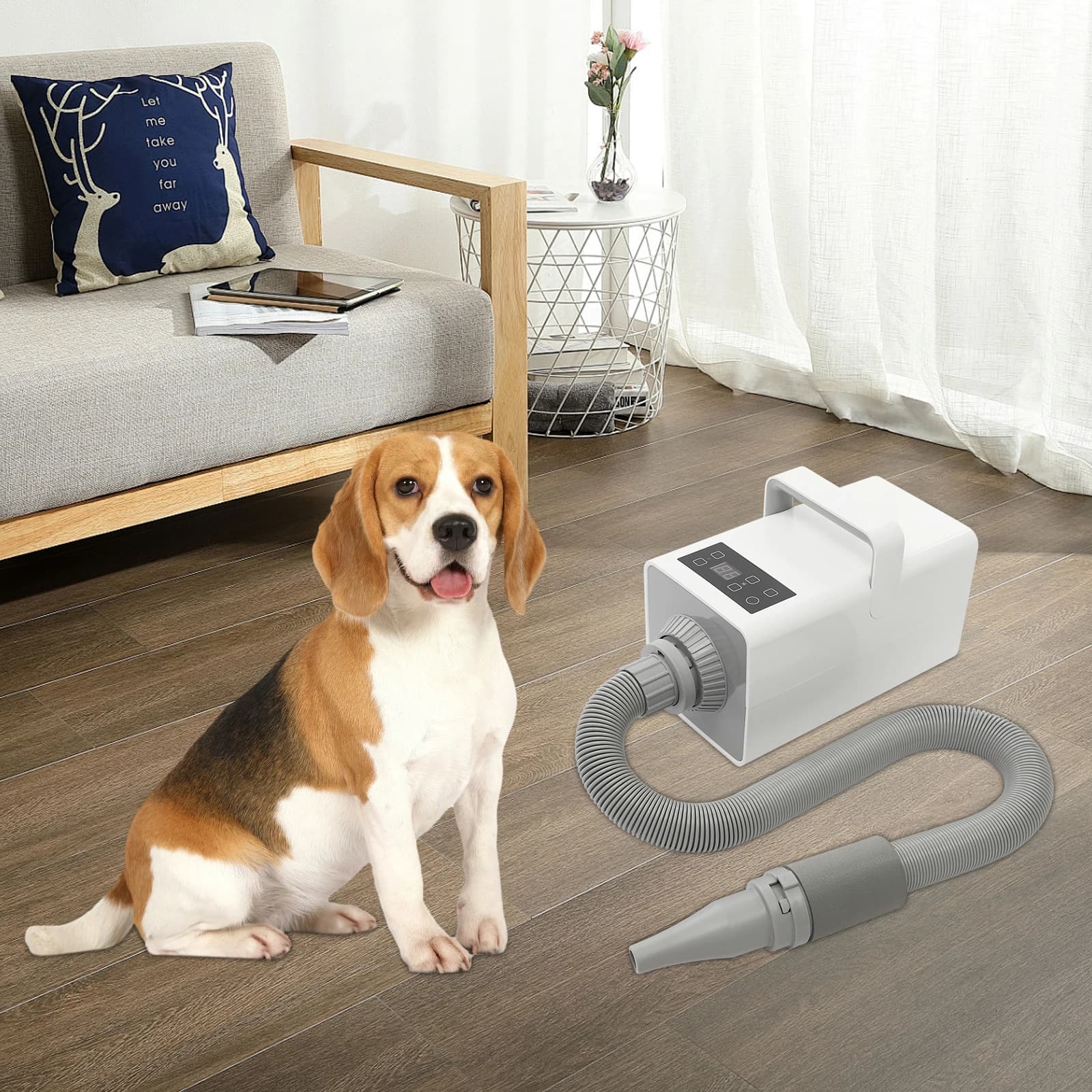 Asciugacapelli moderno per toelettatura di cani da 1900 W Asciugacapelli professionale per animali domestici Asciugacapelli portatile per animali domestici