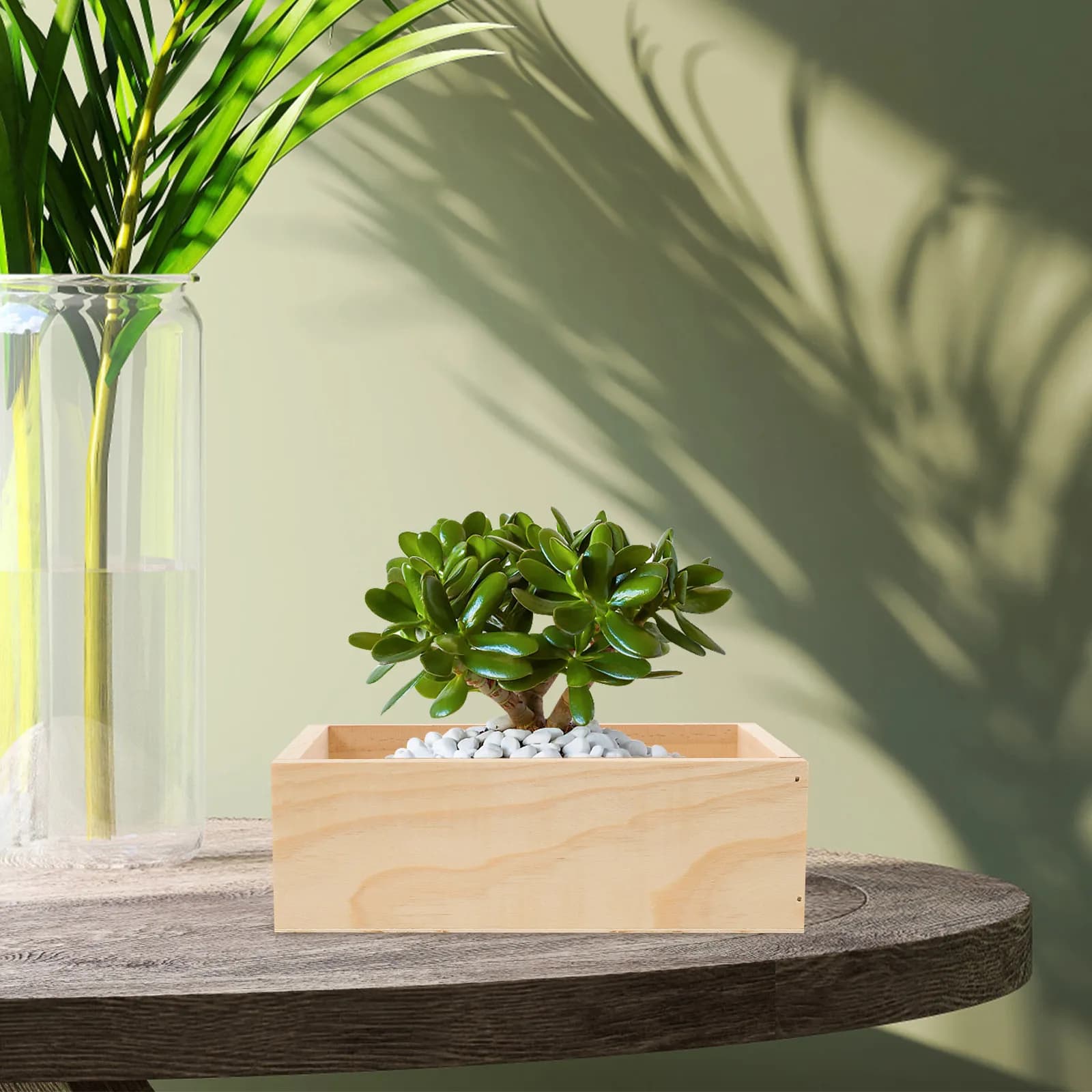 Vaso Rettangolare in Legno per Piante Grasse, Fioriera Premium da Scrivania, Contenitore per Succulente, Cactus e Bonsai