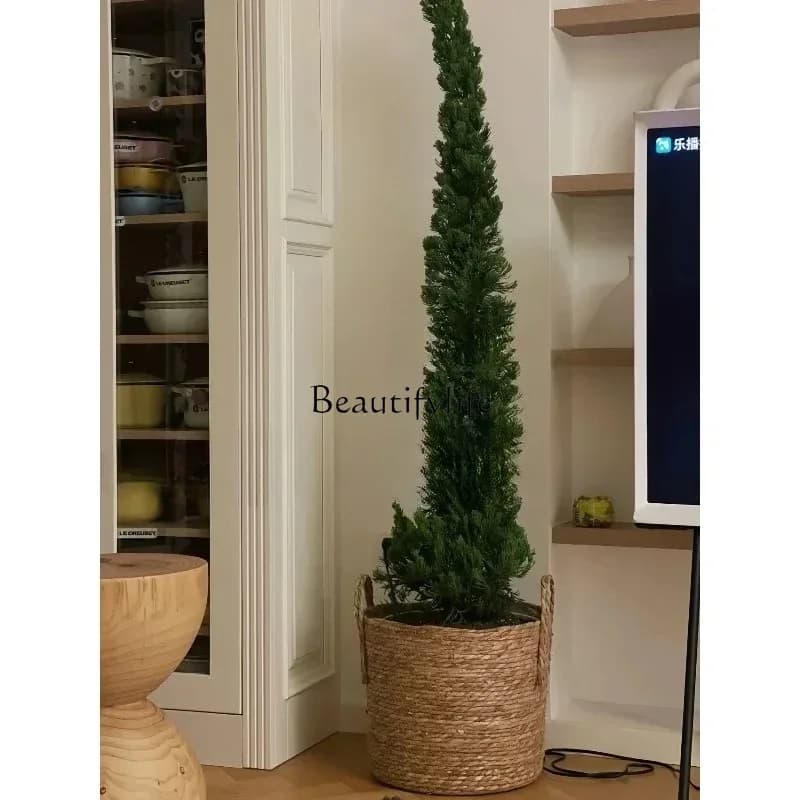 LXDragon cypress potted Christmas tree indoor living room plants outdoor courtyard cypress green plants HSSS