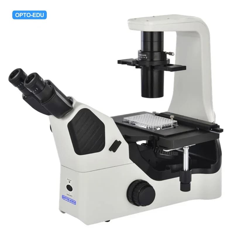 Microscopio Biologico Invertito a Contrasto di Fase Binoculare OPTO-EDU A14.1063 1000x con LED