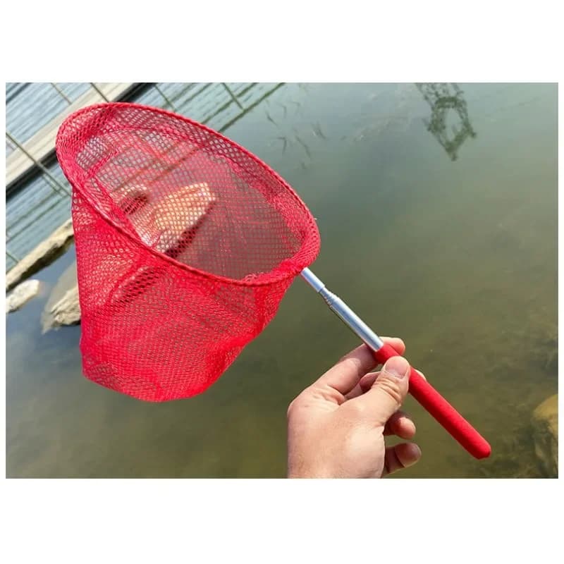 50*20*5 cm 300g Colore Casuale Per Bambini Copia Rete Per Insetti Farfalla Cattura Insetto Rete In Acciaio Inox telescopico