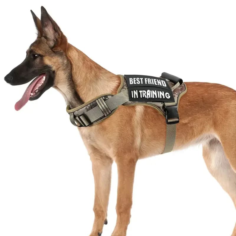 Pettorina per cani di servizio tattico con molle e maniglia di controllo Pettorina per gilet per animali domestici regolabile e riflettente per una facile camminata e un treno