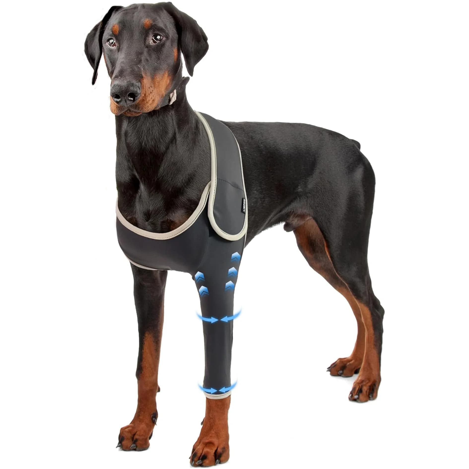 Ginocchiera per cani regolabile, per supporto per alleviare il dolore articolare delle gambe anteriori per animali domestici, aiuta il recupero delle infortuni delle gambe (velcro)