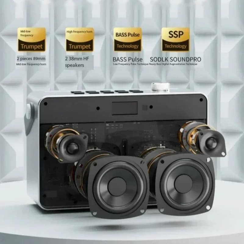 160W Powerful Portable Wireless Speakers with 2 Microphone,Support Guitar Input,Karaoke Machine Bluetooth PA System, for Party