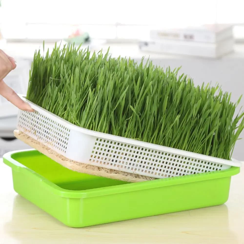 Gardening Supplies Ground-mounted Growing Hydroponic Tray Growing Vessels Plant Box Plant Tray Seed Germ Vase For Germs