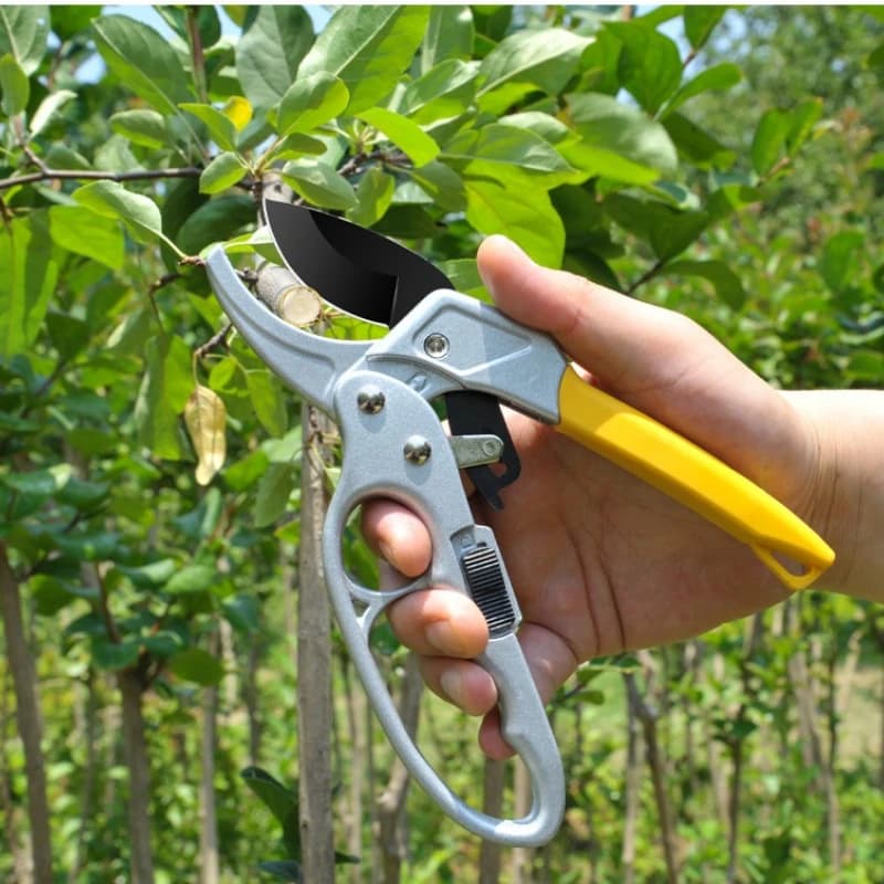 Titanium plated SK5 alloy steel shears Ergonomic design Quick cuts Spring to save labor Ideal for fruit harvest in the garden