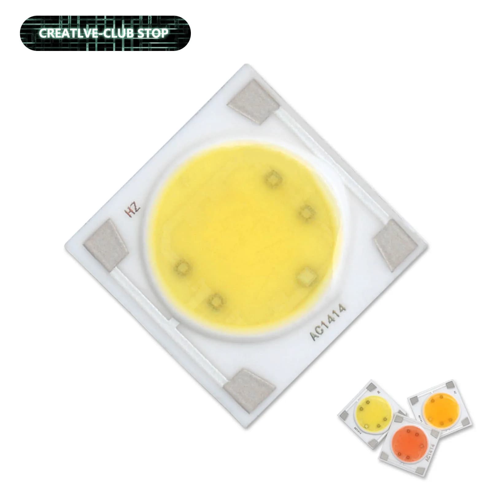 3W 5W 7W 9W 12W Chip LED AC 220V Ceramica PCB Bianco freddo Bianco caldo Pianta Perline di luce Smart IC Chip per illuminazione a LED fai da te