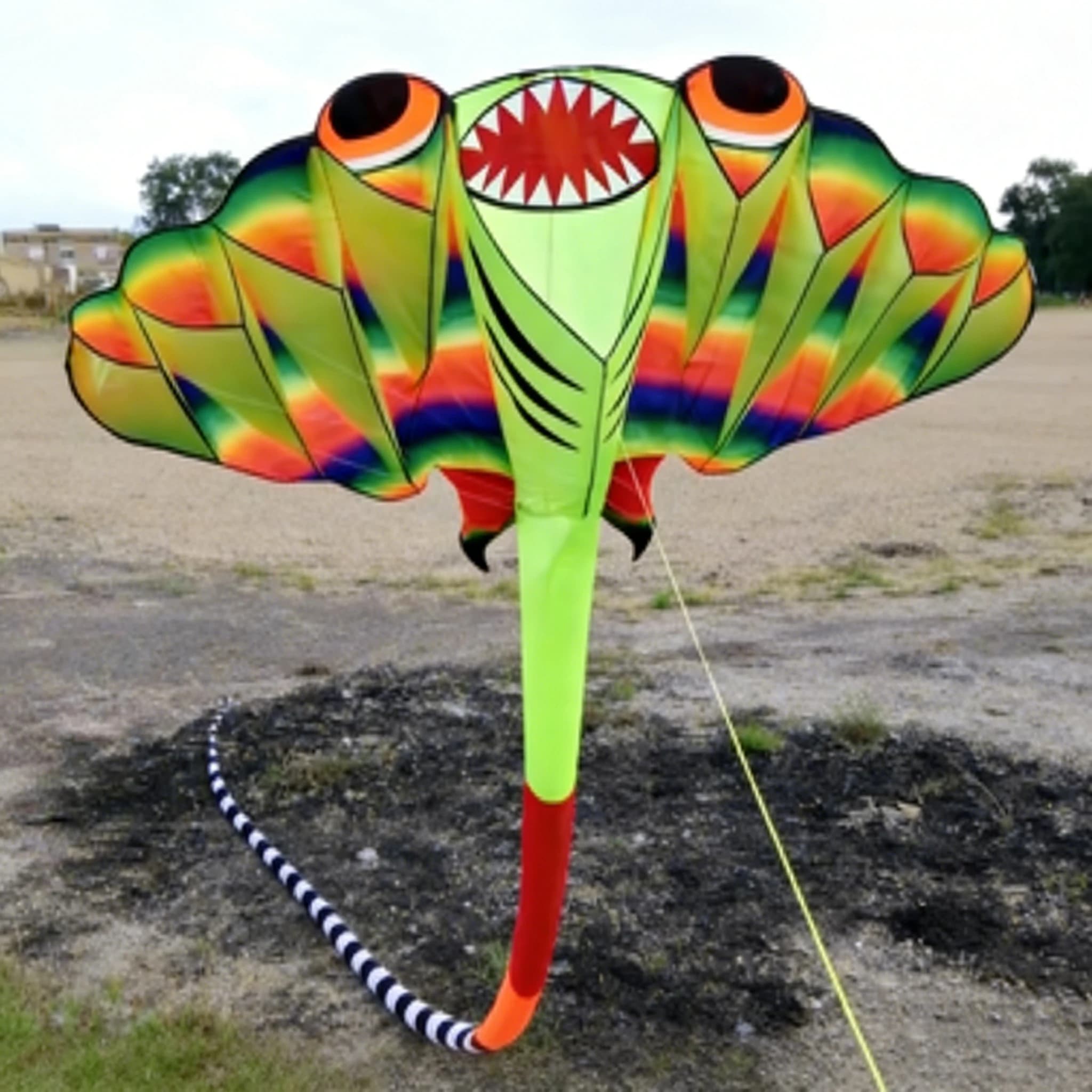 Aquilone 3D morbido a forma di Manta da 12,5 m, con 9 ingressi d'aria, bobina da 200 m, realizzato in nylon resistente agli strappi, con borsa per il trasporto portatile.