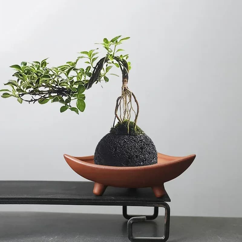 Customized Ceramic Flower Jars for Indoor Bamboo Plants Micro Landscape Decoration Purple Clay Jar