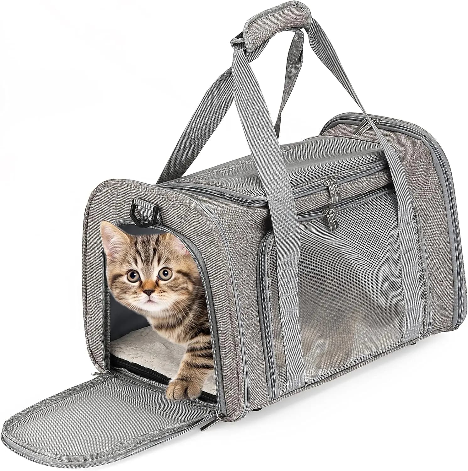 Trasportino Morbido per Cani e Gatti, Borsa da Viaggio Leggera con Rete Ventilata, Resistente e Confortevole