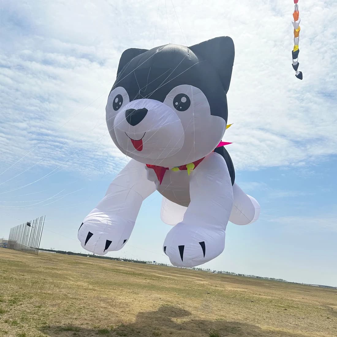 9KM 12m Husky Kite Line Laundry Pendant Soft Inflatable Show Kite for Kite Festival Ripstop Nylon Fabric with bag