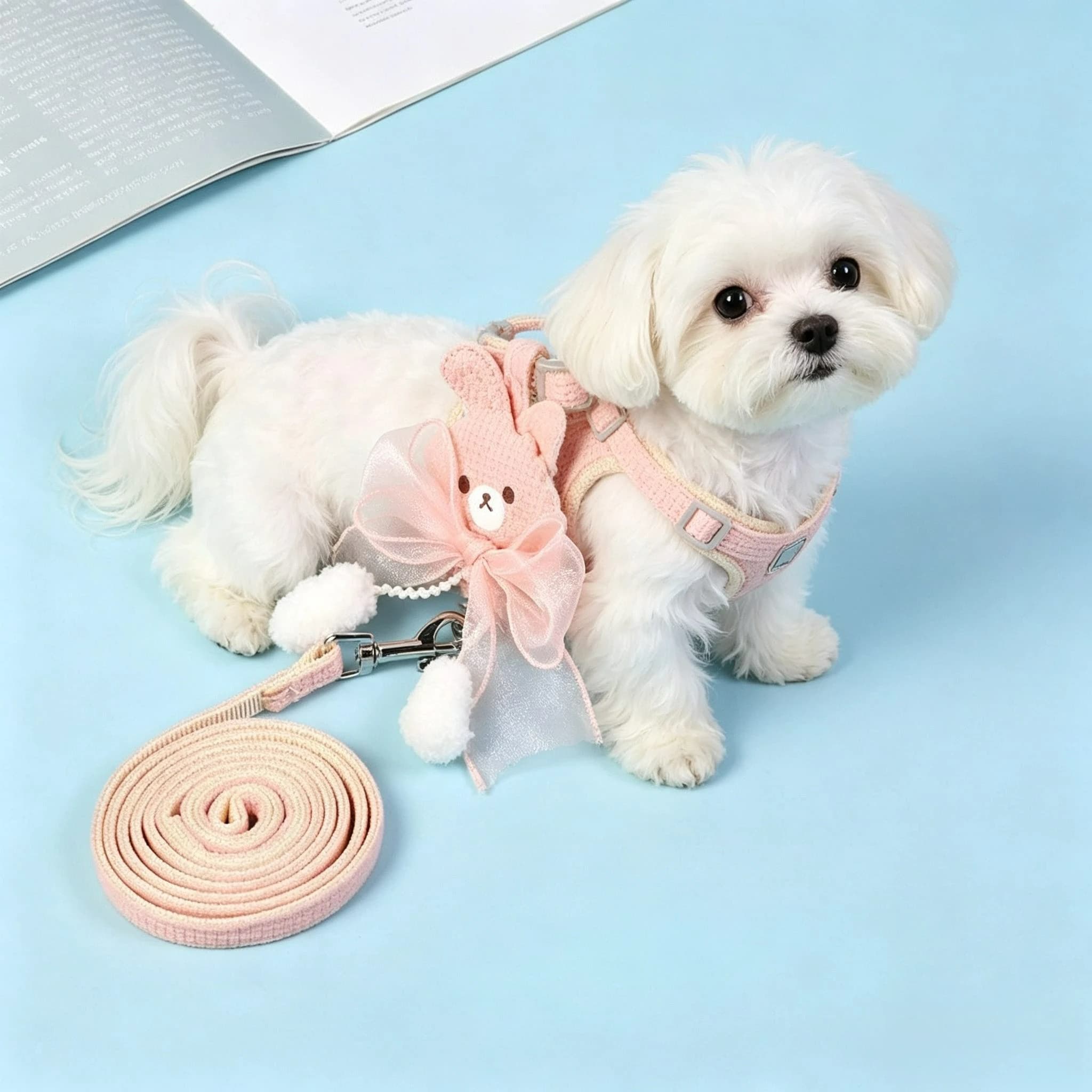 New Cute Cartoon Pet Leash Adjustable Cat Dog Harness Breathable Leash Convenient Pet Vest for Small Dog Cat Supplies Harnesses