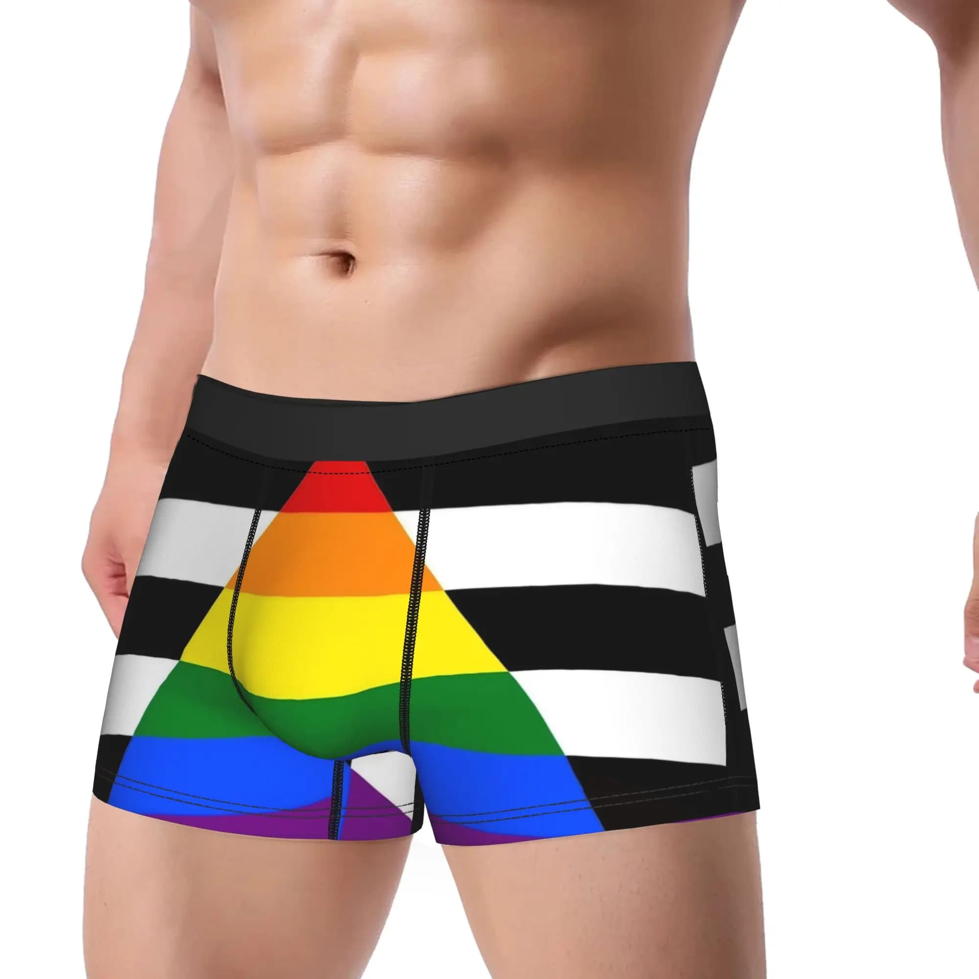 Sexy Boxer Shorts Panties Briefs Man Ally LGBT Pride Rainbow Underwear Soft Underpants for Homme Plus Size