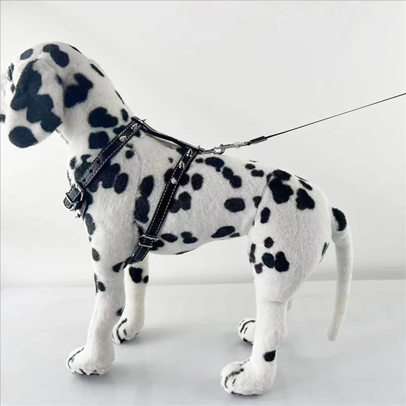 B84B-2X Gilet con imbracatura per cuccioli in pelle con borchie a spillo per razze piccole Nero