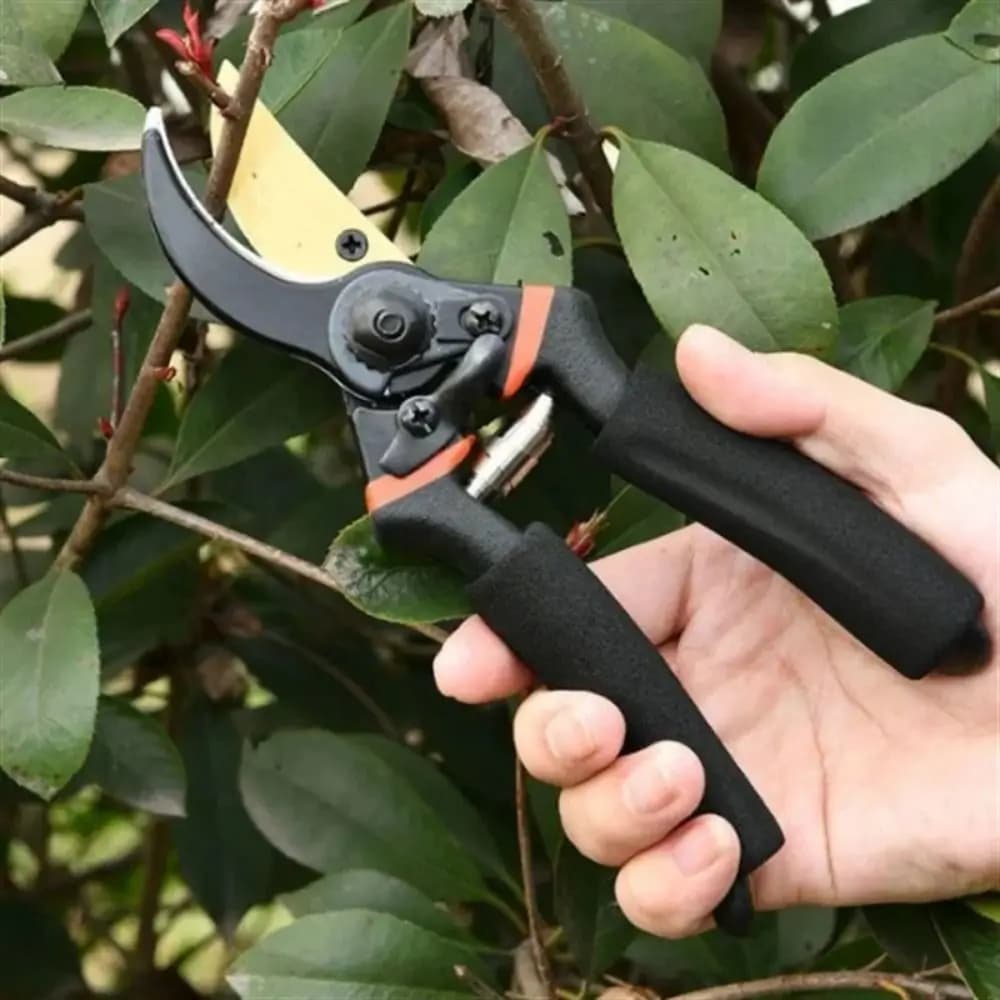 Forbici da Potatura Affilate, Troncarami Professionale Multifunzionale per Giardinaggio, Utensile Efficiente per la Potatura