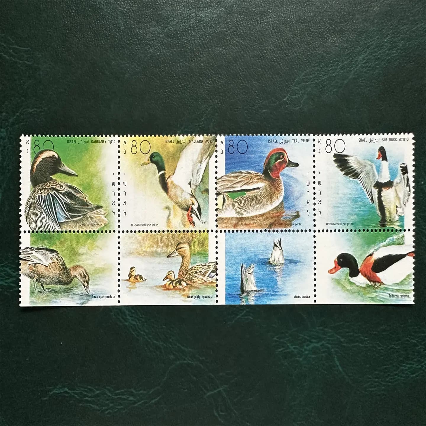 Israel Post Stamps Postage Year 1989 Wild Duck Full Set 4 New Collectible Postage Stamps Material For Scrapbooking Accessories