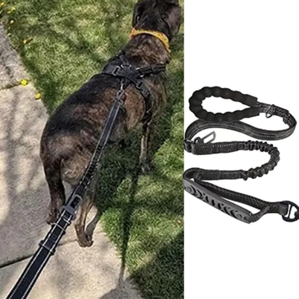 Guinzaglio per Cani Riflettente Antiurto con Fibbia di Sicurezza per Auto, Corda da Passeggio Resistente all'Usura