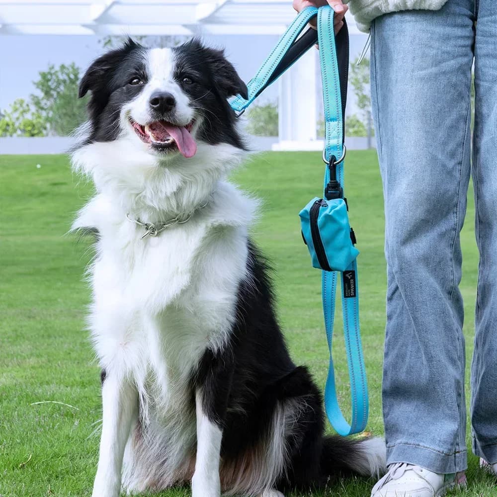 Guinzaglio per Cani da Esterno per Addestramento e Viaggio con Sacchetto Porta Cibo, Guinzaglio Elastico Resistente con Maniglia, Regolabile per Addestramento Sicuro