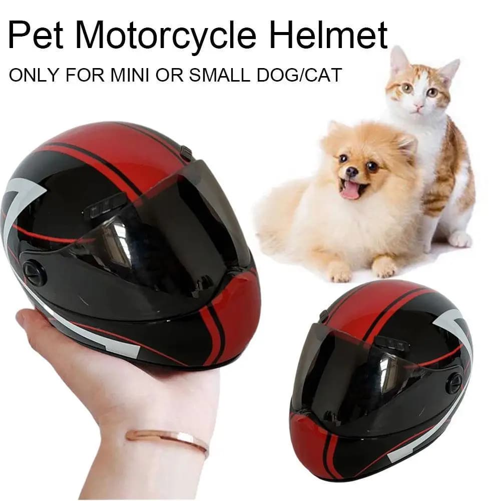 Casco da moto per animali domestici di piccola taglia Mini caschi per cuccioli di cane di gatto, casco da moto integrale protezione per la testa all'aperto cappello rigido per animali domestici nuovo