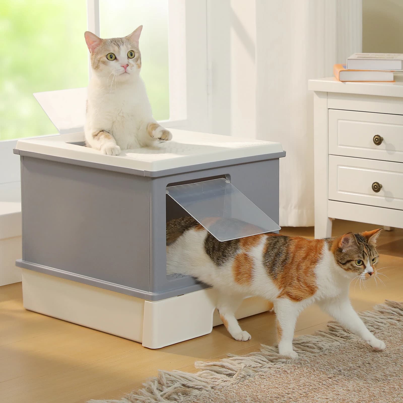 Lettiera per Gatti Chiusa con Paletta, Lettiera Grande per Interni, Toilette per Gatti con Coperchio, Cassetto Estraibile, Uscita Superiore Anti-Tracciamento