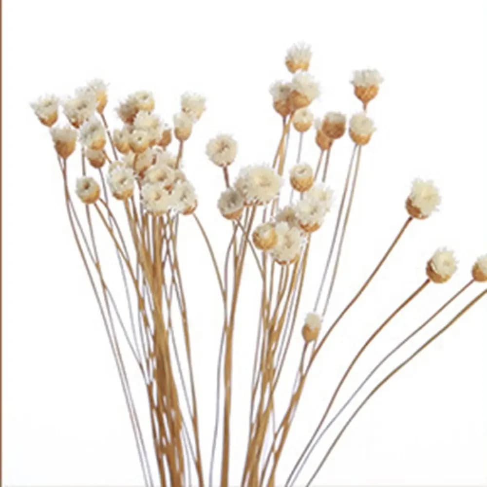 Diffusore di aromi creativo senza fiamma, profumo artigianale volatilizzabile per la casa, fiori secchi, incenso aromatico, bastoncini diffusori di fiori artificiali
