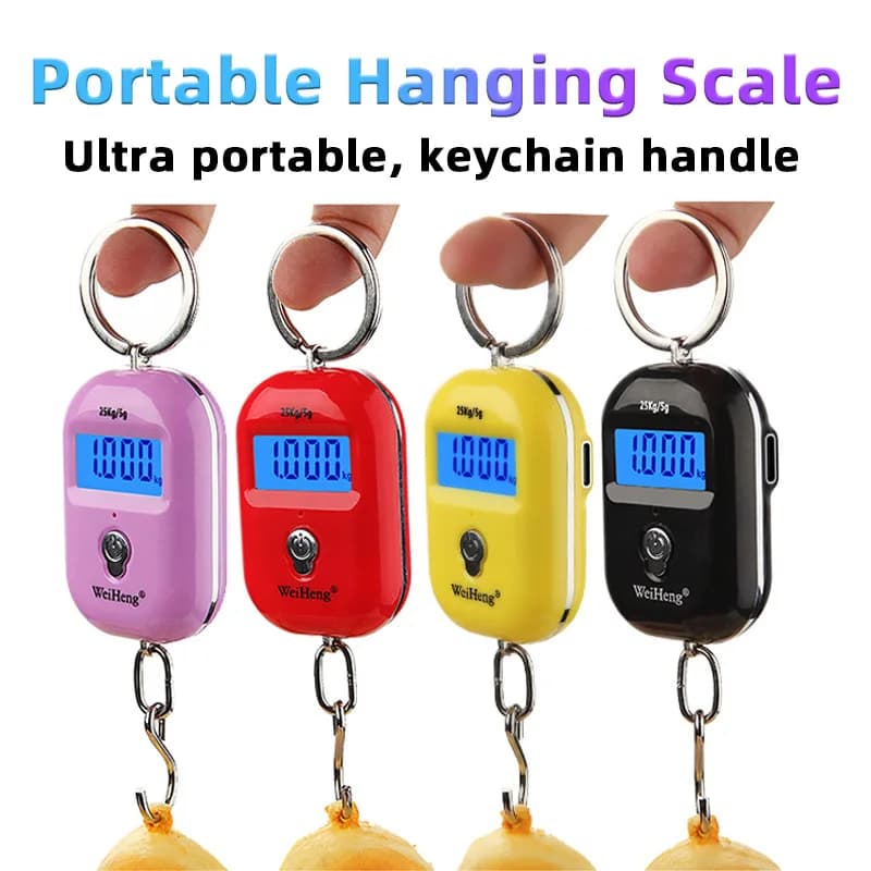 25Kg/10g Bilancia sospesa portatile Mini bilancia digitale per bagagli da pesca Portachiavi da viaggio Bilancia elettronica con gancio