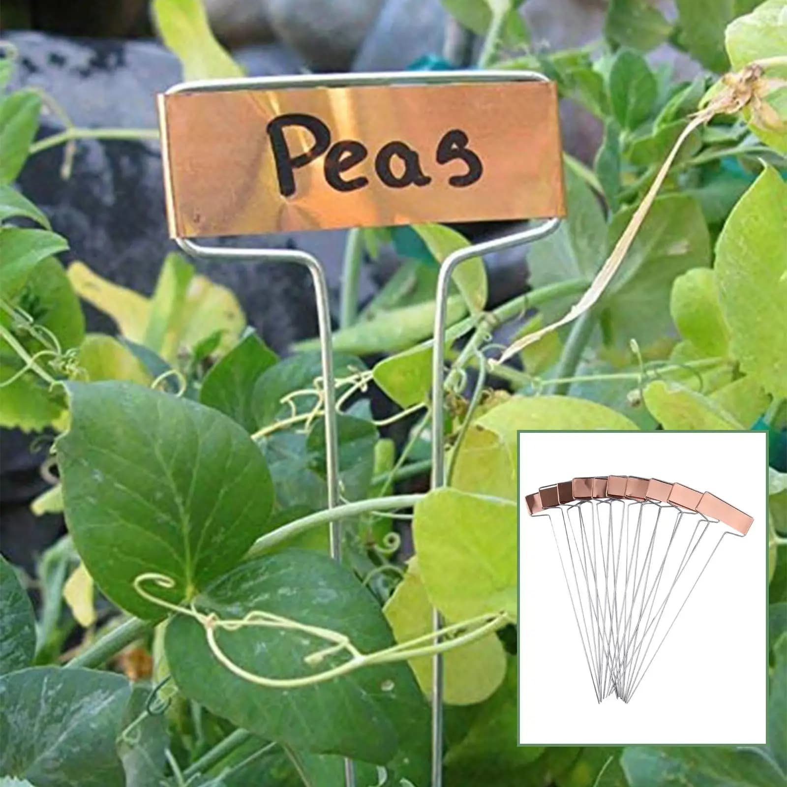 10 labels for metal plants for vegetable seeds and outdoor greenhouse flowers