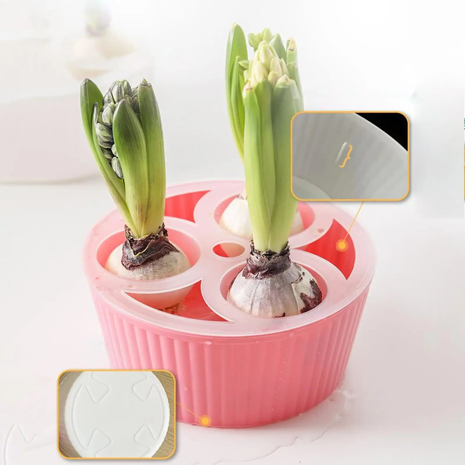 Hydroponic flower vase with tulip seeds in giacinto Vase 3 holes for plants Pot from groundless flowers Vase from lazy hydroponic flowers Home decoration