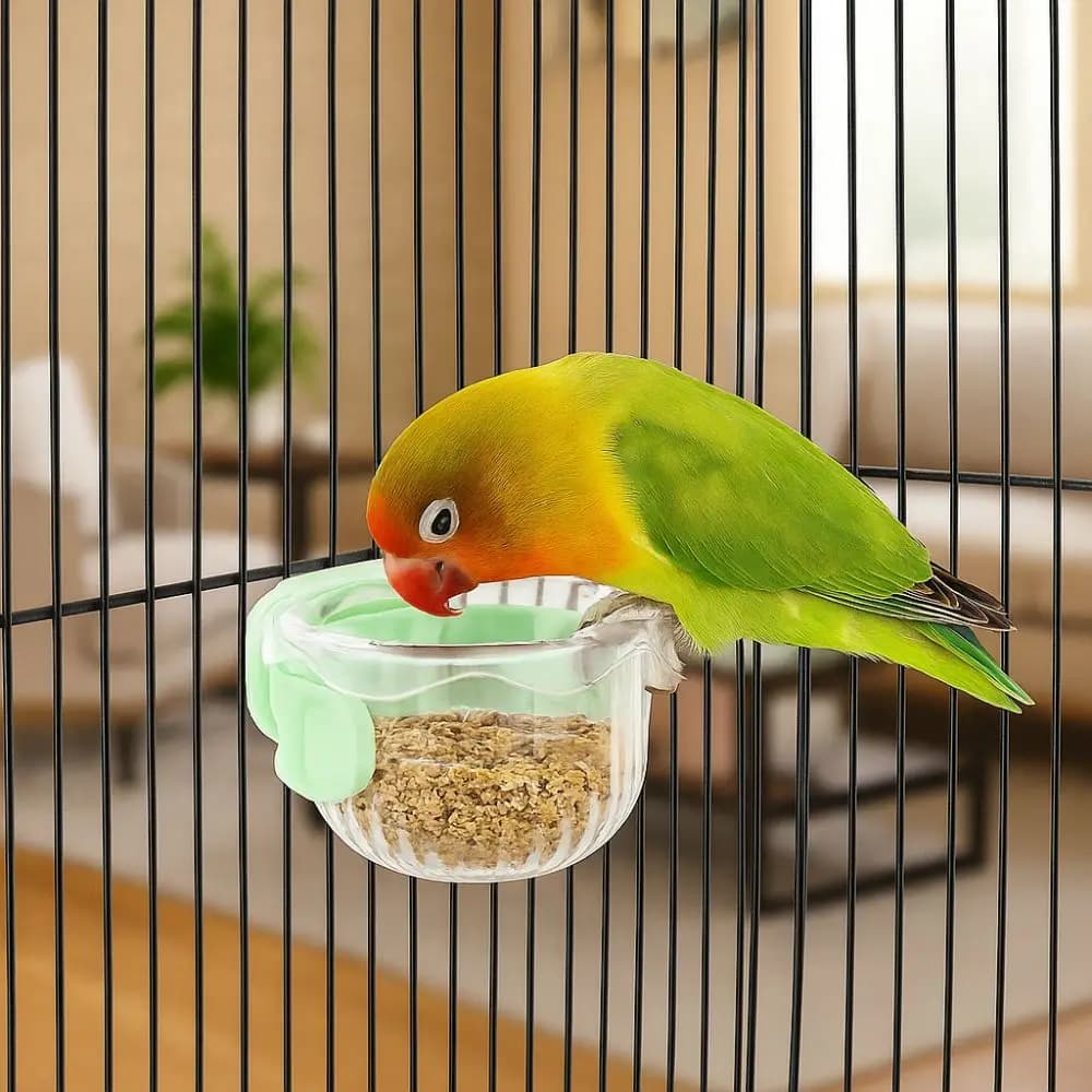 Accessori per animali domestici Ciotola per cibo per uccelli sospesa Ciotola per acqua per pappagalli a bocca larga rimovibile Ciotola per alimentazione per pappagalli anti-fuoriuscita Negozio di animali
