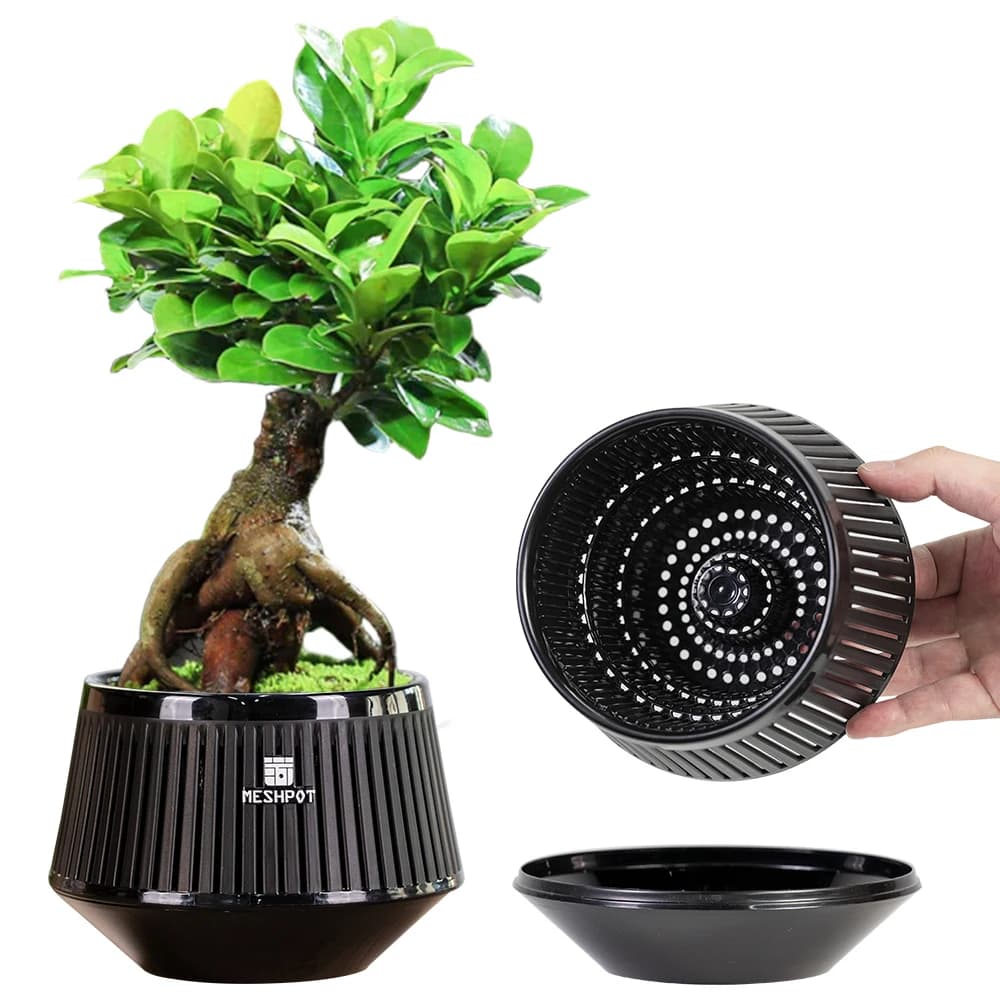 Vasi per bonsai Meshpot con foro di drenaggio e vassoio Fioriere per bonsai in plastica per piante da interno - Design per la stampa dell'aria, flusso d'aria eccellente