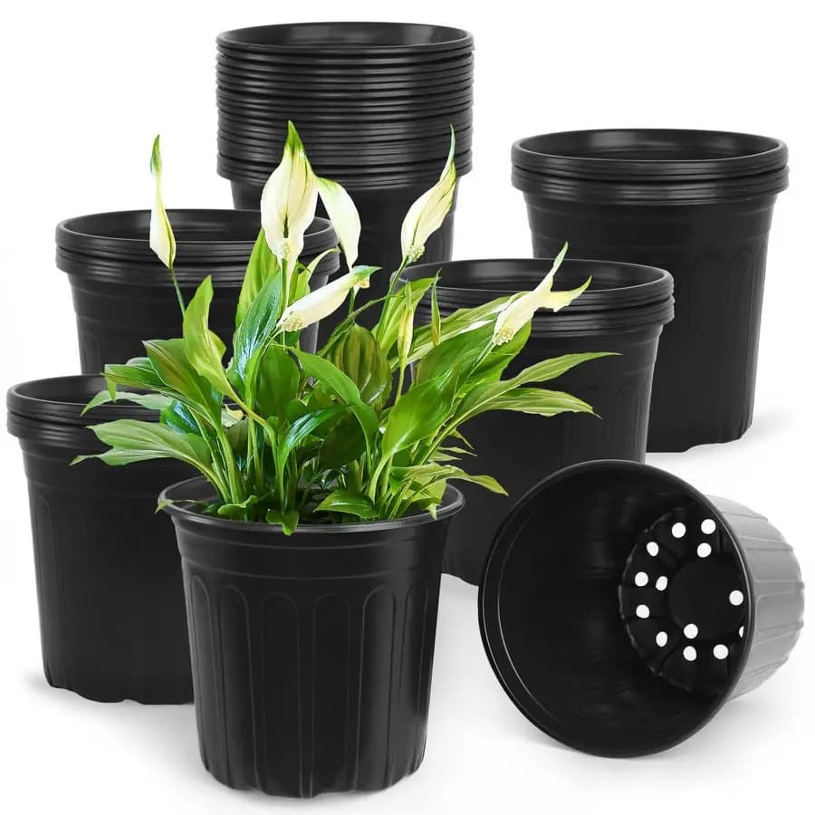 SLMKHHU 50 Pieces Vase from 2 Gallon Vivary, Soft Plastic Jars Reinforced with Holes, Containers for Plants and Garden Flowers