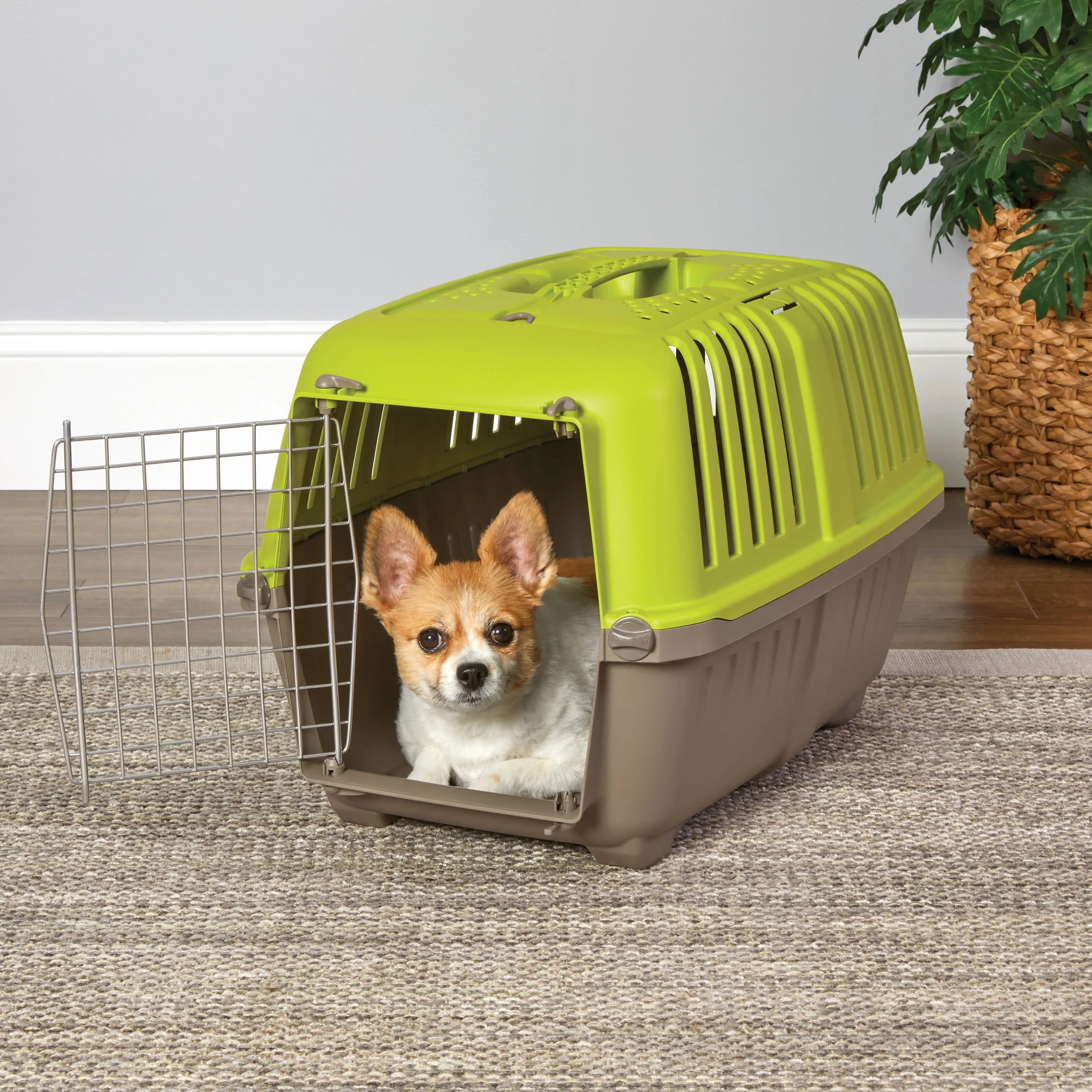 Spree Travel Carrier – Hard-Sided Dog & Cat Carrier, Small Pet Travel Crate with Handle, Ventilated Design, Easy Assembly, 24-In