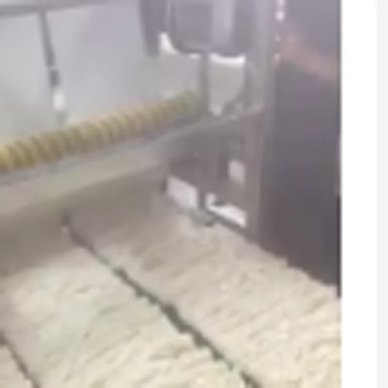 Macchina Elettrica Professionale per Pasta e Noodles in Acciaio Inossidabile, Trituratore per Impasto e Sfoglie per Ravioli, Ideale per Panifici