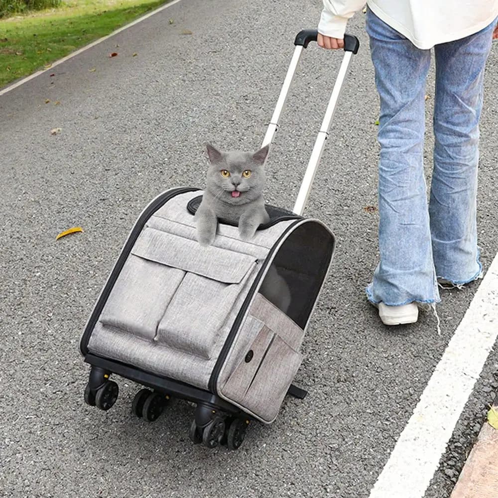 Trasportino per gatti con ruote, approvato per il trasporto aereo, con maniglia telescopica e tracolla, con ciotola pieghevole per animali domestici