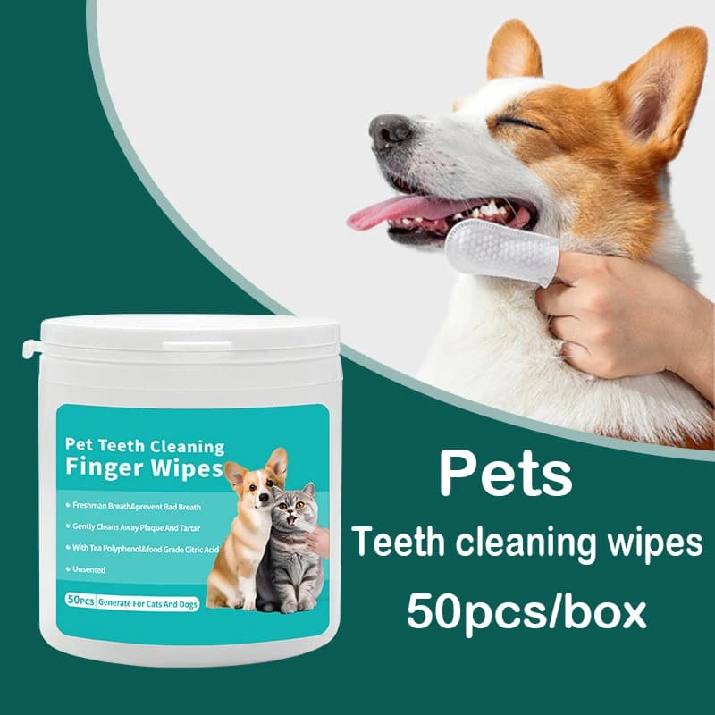 Cleaning products for domestic animals Disposable teeth toothbrush Cleaning for pets Spouses Wet wipes Oral cleaning of dogs and cats