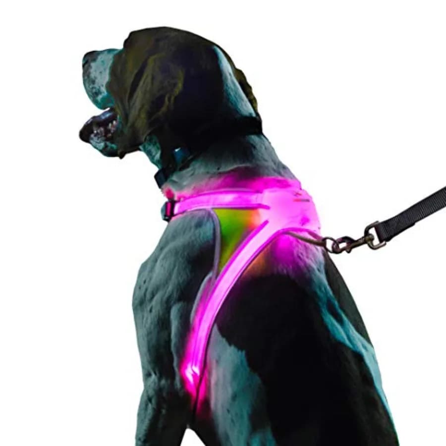 LightHound: Pettorina Rivoluzionaria Illuminata e Riflettente per Cani con Fibre Ottiche LED Multicolore Ricaricabili USB