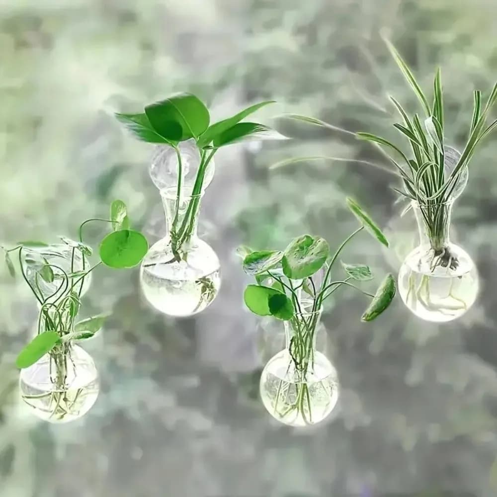 Set di 4 Vasi Trasparenti da Parete con Ventose, Bottiglie per Steli di Piante, Mini Vasi Autoirriganti da Appendere