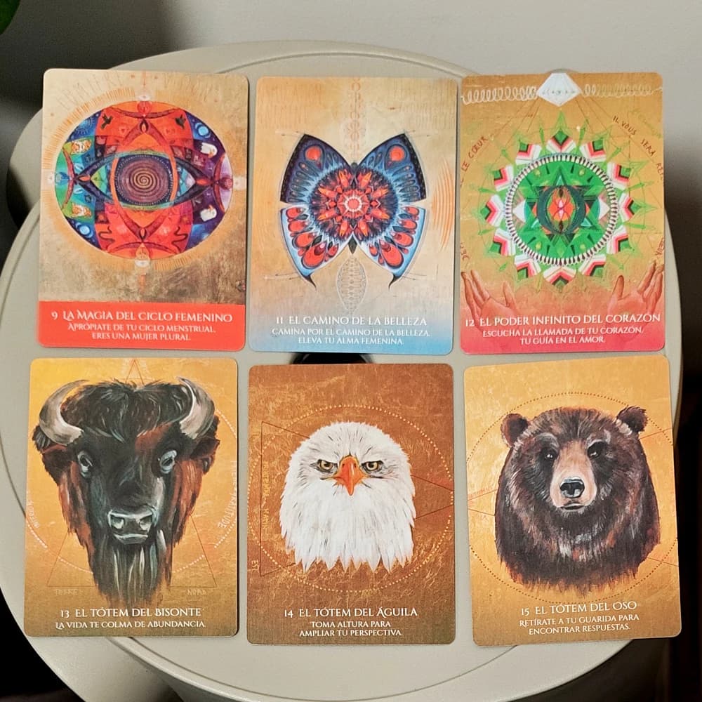 Medicine Woman Oracle - 10,5 * 7,5 cm 49 carte per archetipo sciamico per la guarigione e l'empowerment (versione spagnola)