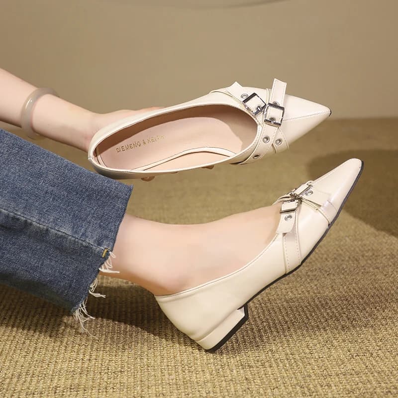 Low Heel Women's Single Shoes 2026 Spring Autumn Fashion Heel New Belt Buckle Shallow Mouth Square Heel Women Shoes