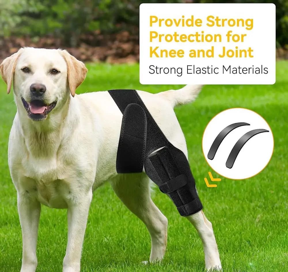 Protezioni per Ginocchia per Cani, Supporto per Articolazioni Lesionate, Fasciature Regolabili per Recupero Post-Operatorio, Accessori per Cani