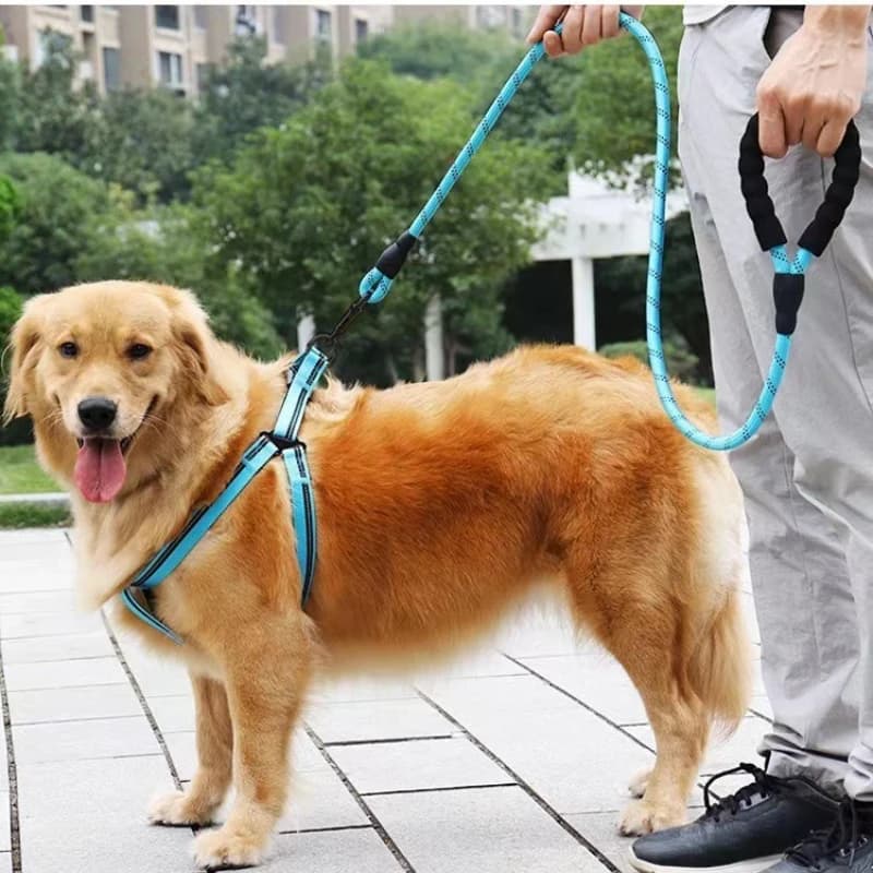 2M Reflective Heavy Duty Dog Leash Explosion Proof Anti Pull Walking Rope Strong Pet Lead For Medium Large Dogs