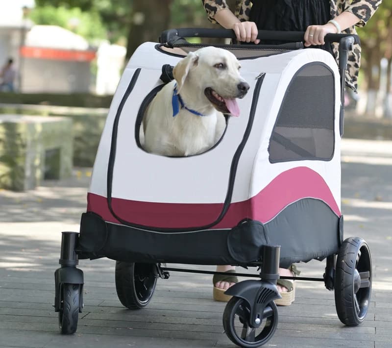 Passeggino per Cani di Taglia Grande 2026, Carrozzina per 2 Cani Traspirante con Ruote Universali e Spazio di Stoccaggio