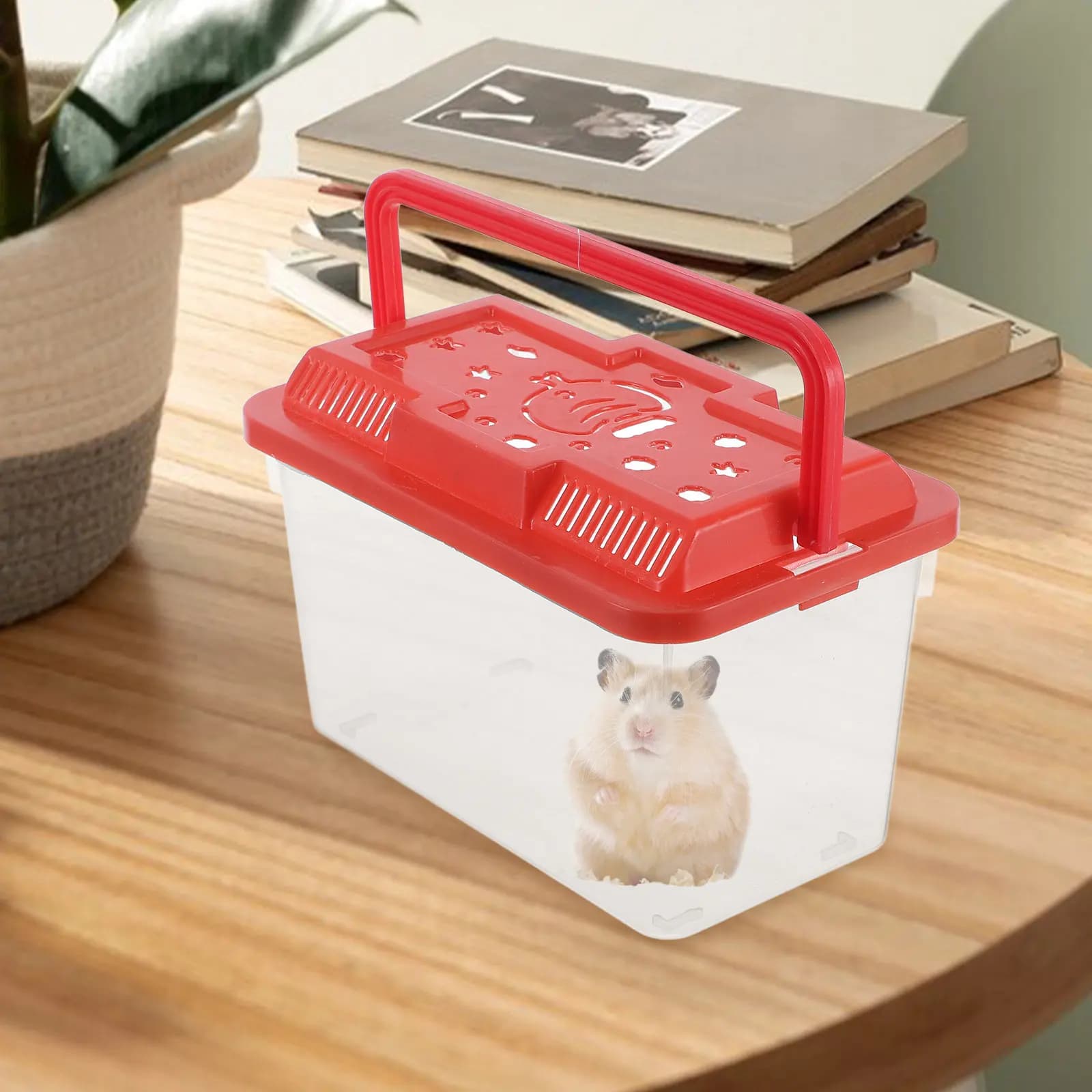 Acquario Portatile Trasparente in Plastica, Piccolo Acquario con Maniglia per Viaggi, Contenitore per Pesci, Tartarughe e Rettili
