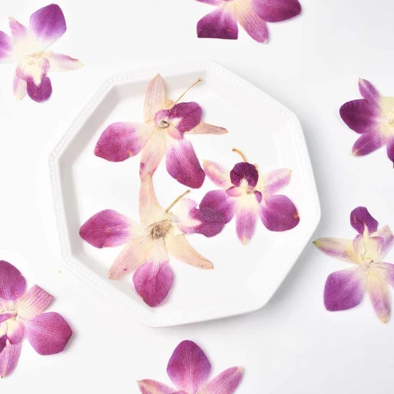 4 Pieces, Flowers by Orchidea Butterfly Veri Pressed for Art in Resin Fai-da-Te, Scrapbook, Frames, Plant exemplars, Crafts, Teaching Materials