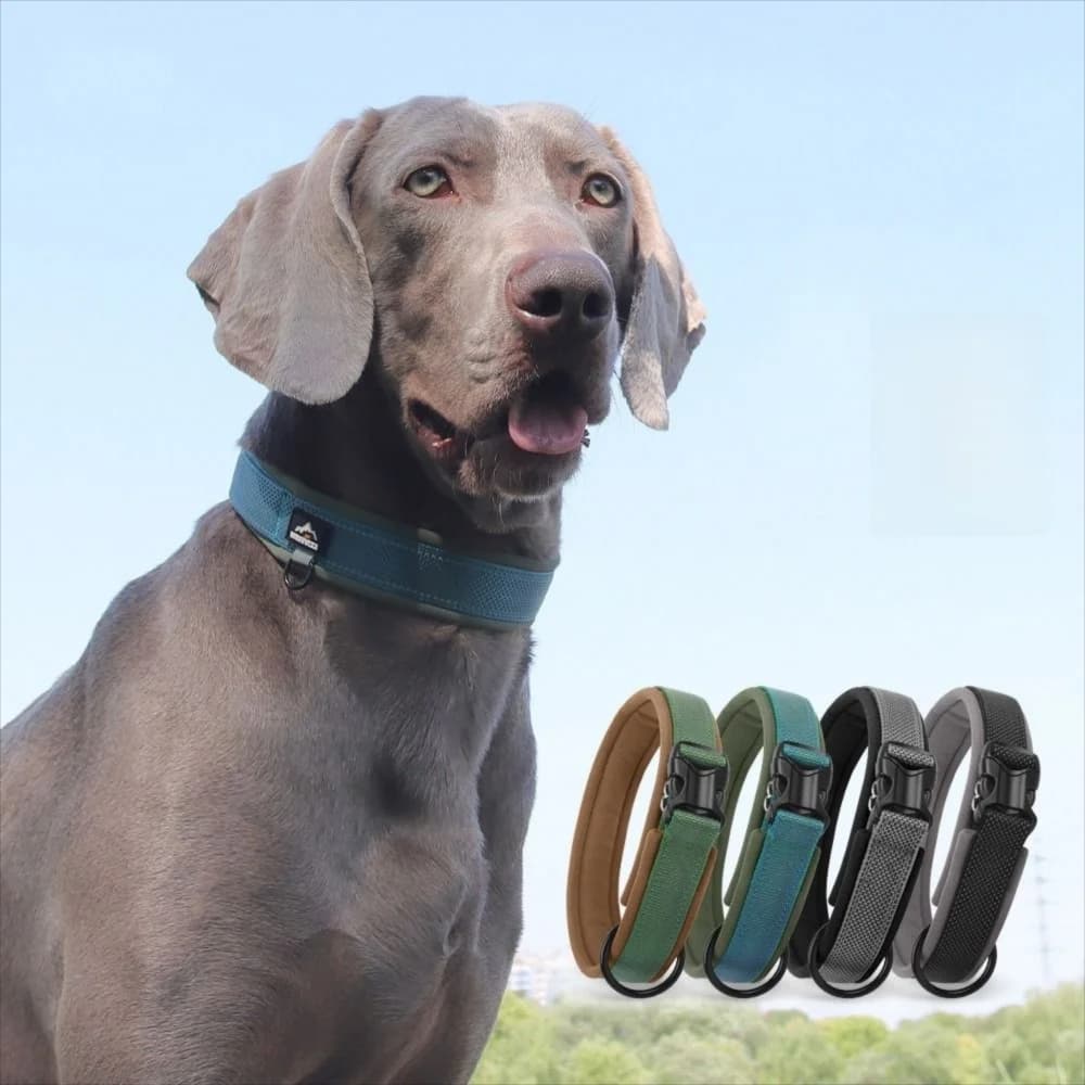 Collare per cani riflettente con tessitura elastica Collare per animali regolabile senza tirare per cani di taglia media Facile da indossare Comodo