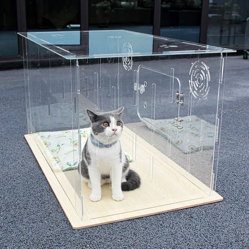 Trasportino per Gatti in Acrilico PET Trasparente, Gabbia Portatile per Cani e Conigli, Prodotti per Animali Domestici, Letti per Gatti